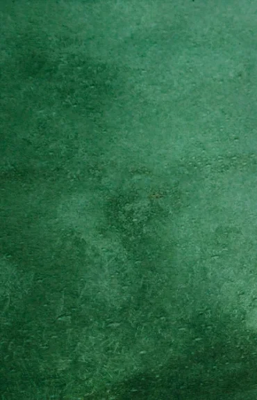 Lesní školka